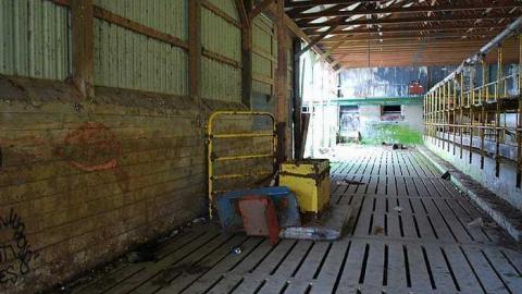 North Whitby Farm - DSC_0623.jpg