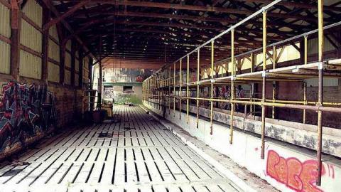 North Whitby Farm - DSC_0620 edit.jpg