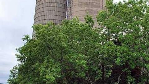 North Whitby Farm - DSC_0618.jpg