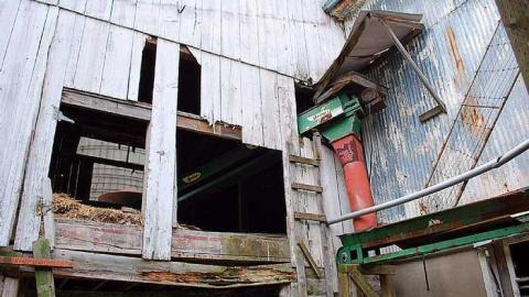 North Whitby Farm - DSC_0612.jpg