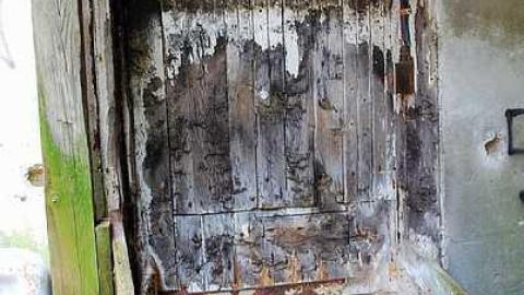 North Whitby Farm - DSC_0611.jpg