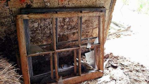 North Whitby Farm - DSC_0606 edit.jpg