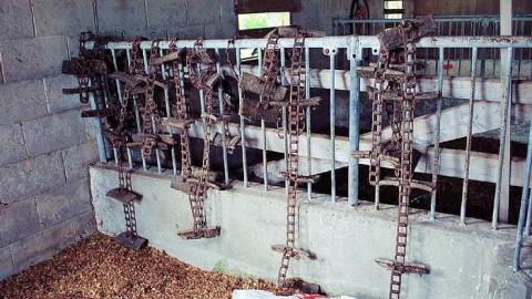 North Whitby Farm - DSC_0601 edit.jpg