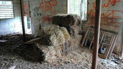 North Whitby Farm - DSC_0598.jpg