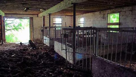 North Whitby Farm - DSC_0597 edit.jpg