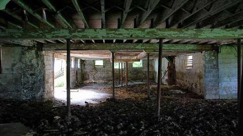 North Whitby Farm - DSC_0595.jpg