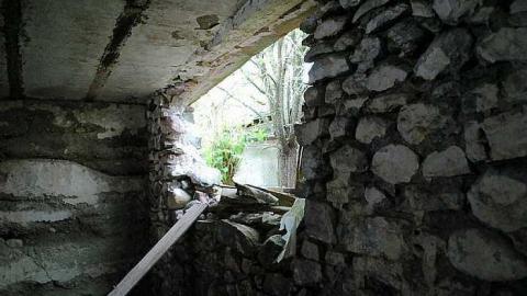 North Whitby Farm - DSC_0594.jpg