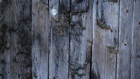 Photo from North Whitby Farm