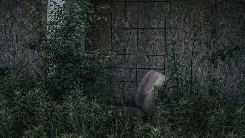 2017-06-23 - bandos-4.jpg