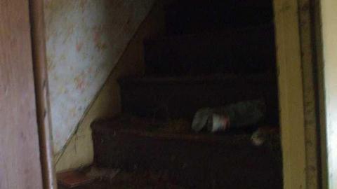 Photo from old beauty