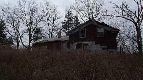 Photo from old beauty