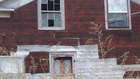 Photo from old beauty