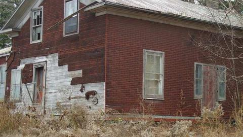 Photo from old beauty