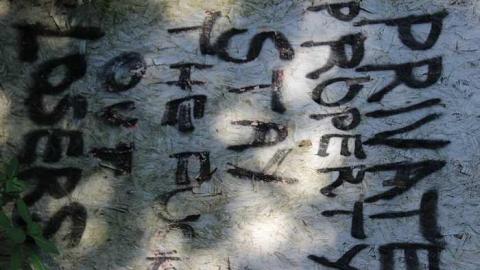 McDonald's - IMG_4530.jpg