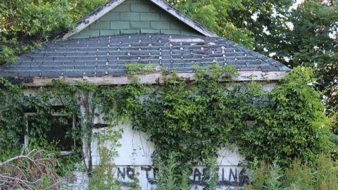 Photo from McDonald's