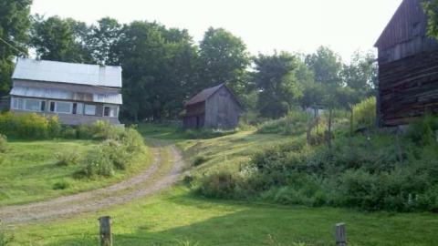Hobbit House and more - Robertsville-Ghost-Town19.jpg