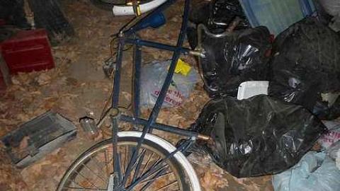 Stayner 1955 - P1110135.jpg