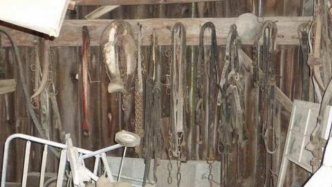 Stayner 1955 - P1110139.jpg