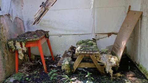 Daily Reminder '17 - DSC01731.jpg