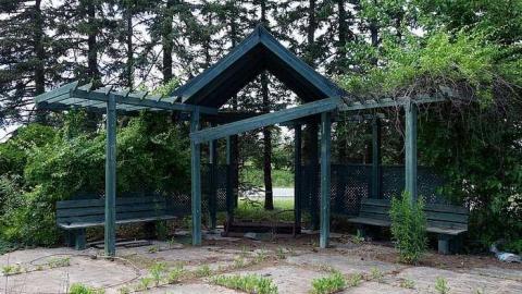 Daily Reminder '17 - DSC01773.jpg