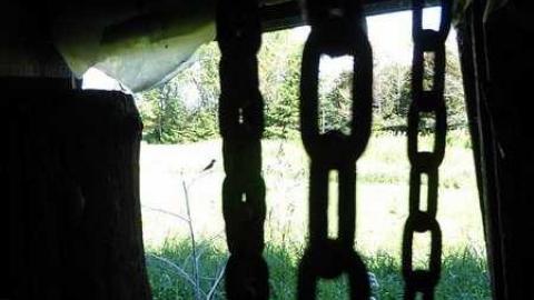 Minesing - P1110026.jpg