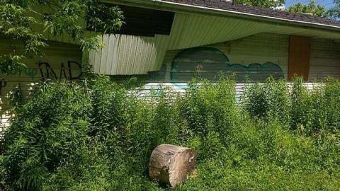 Lost but not forgotten. - IMG_20170624_152531607.jpg