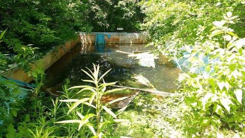 Lost but not forgotten. - IMG_20170624_141858987.jpg