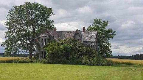 Canada Day Flag - 20170625_162659_resized.jpg