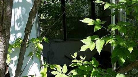 Sneak Attack - q-20160915_142125.jpg