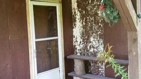 Sneak Attack - c-20160915_142149.jpg