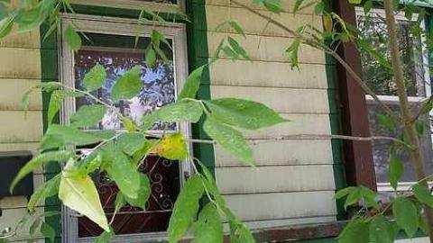 Photo from Sneak Attack