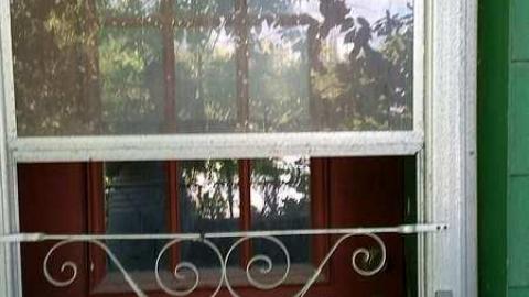 Sneak Attack - k-20160915_142308.jpg