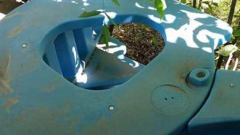 Sneak Attack - d-20160915_142353.jpg