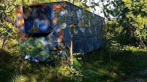 Sneak Attack - n-20160916_083415.jpg