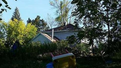 Sneak Attack - n-20160916_083439.jpg