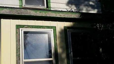 Sneak Attack - e-20160916_083536.jpg