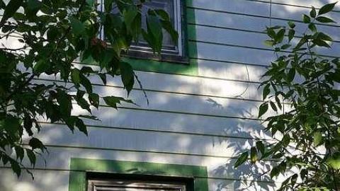 Sneak Attack - g-20160916_083544.jpg