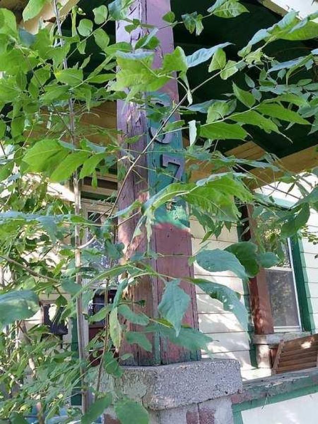 Manitou Stakekout photo 4