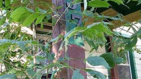 Photo from Sneak Attack