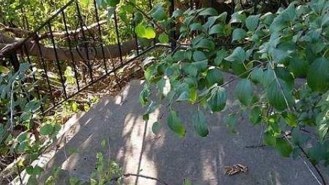 Photo from Sneak Attack