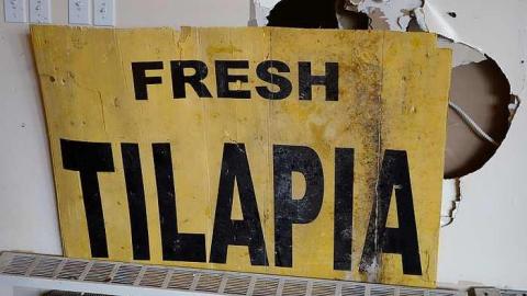 Books & Snowflakes '17 - Hardington-School24.jpg