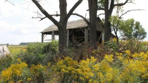 Zorra 35th Line House. - Woodstock-1940s-House165.jpg