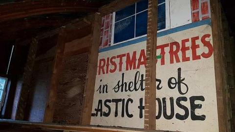 Cullen Gardens Treasures - 20170627_205457.jpg