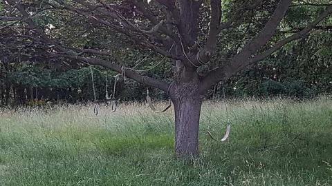 Cullen Gardens Treasures - 20170627_204521.jpg