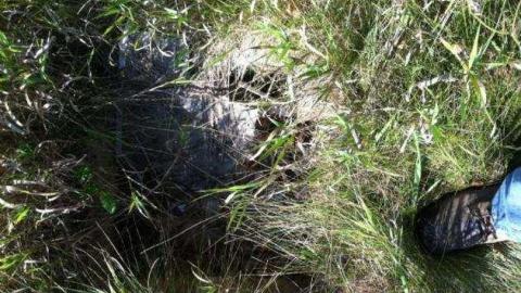 7&407 n/e corner - Brougham18.jpg