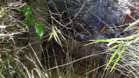 Photo from 7&407 n/e corner