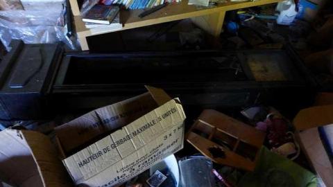 Stinky - P1110063.jpg