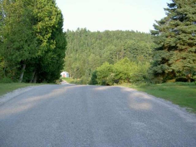 Robertsville Ghost Town photo 3