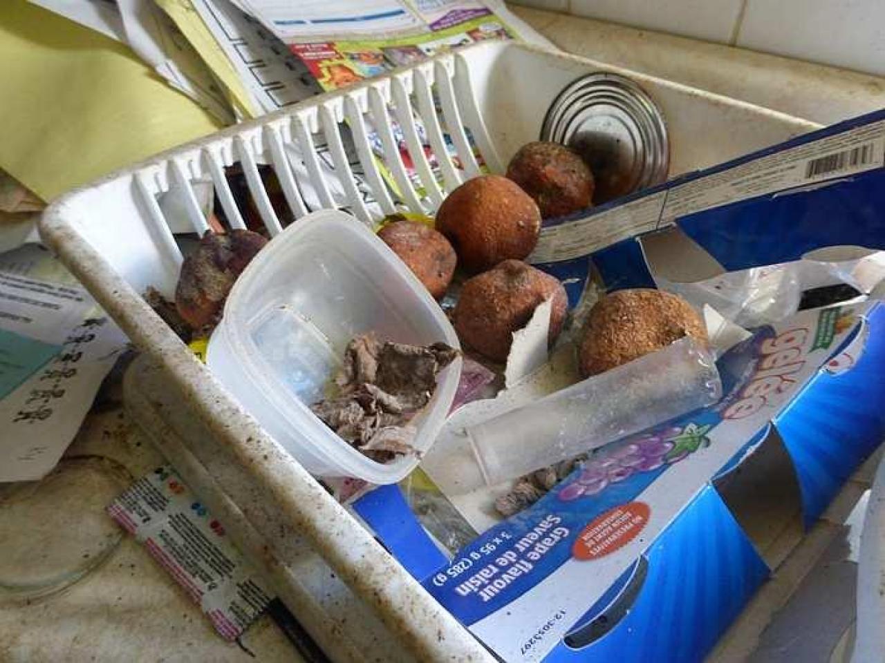 Stinky - P1110073.jpg