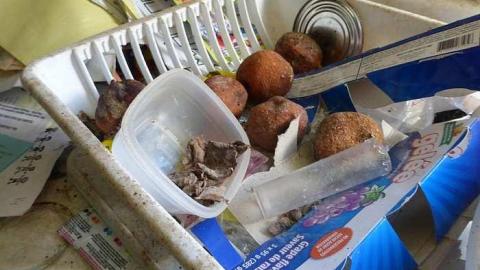 Stinky - P1110073.jpg